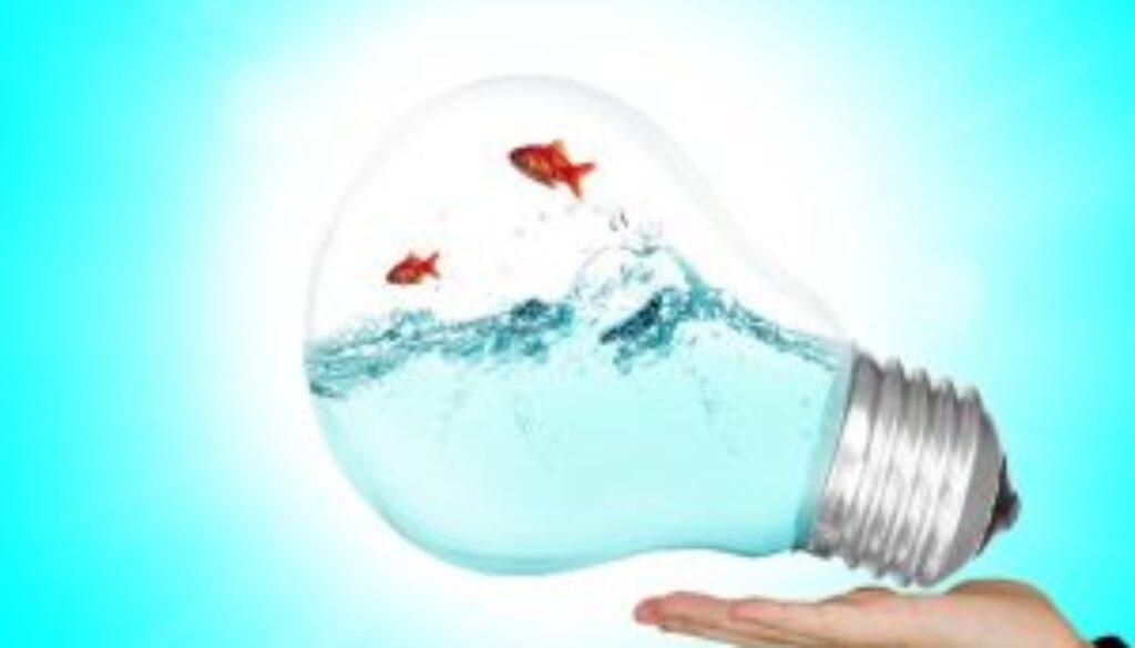 lamp-2247538_1920-300x225