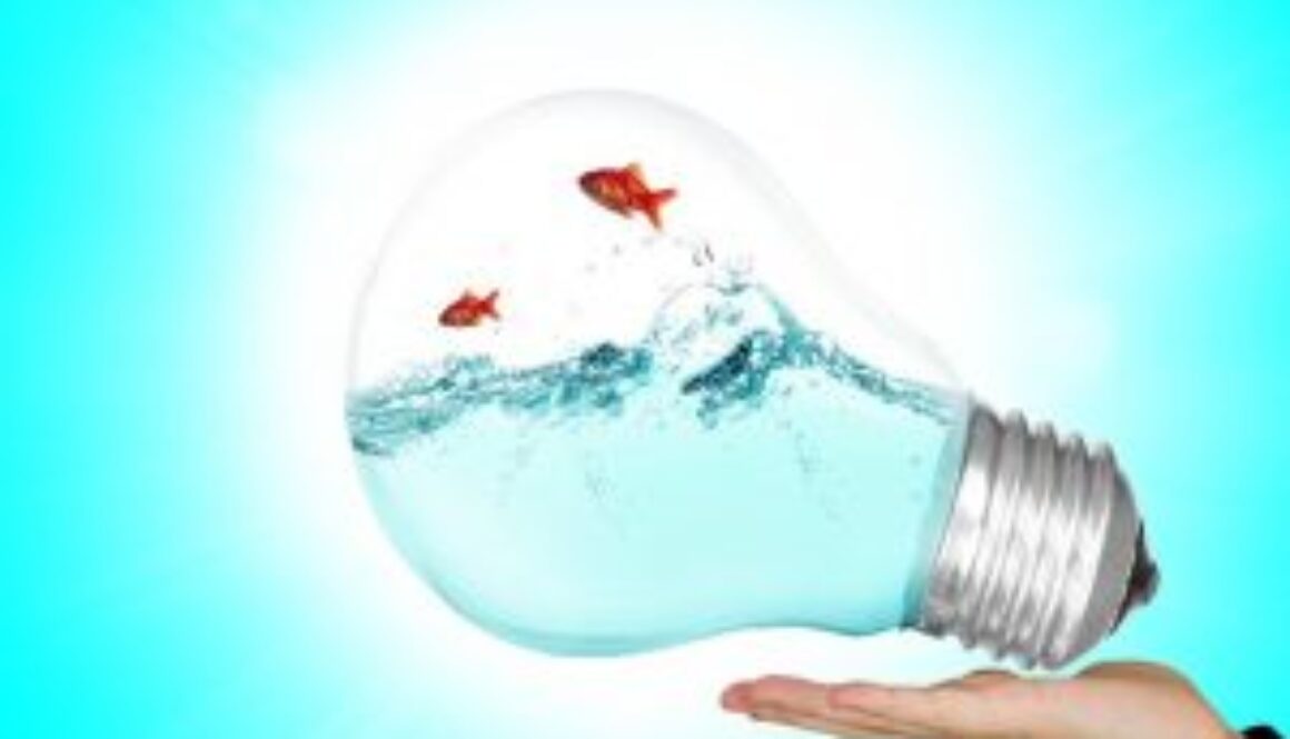 lamp-2247538_1920-300x225