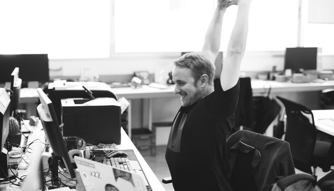 Modelo anular el seguro